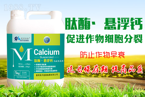 �O(p��ng)����(sh��)�����a(b��)�}���P(gu��n)�I���O(p��ng)���a(b��)�}���Ă�(g��)�`�^(q��)��֪���᣿