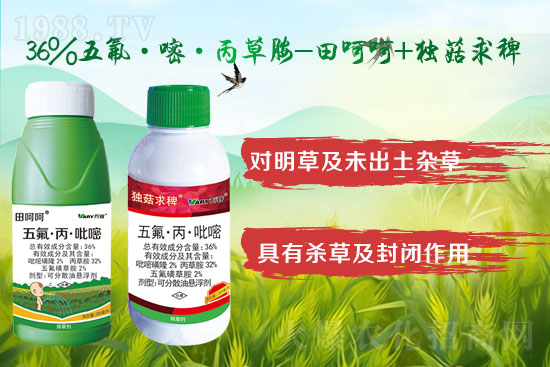 2022��4��8�Փ�݃��rˎ�r���߄�