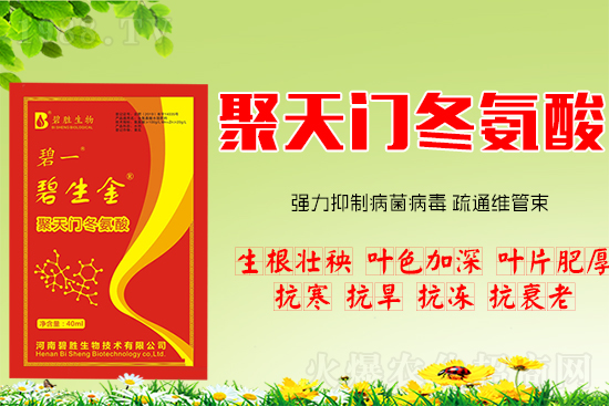 ���H�H����Ч���������T�����ṦЧ��R����һ���Ͷ���