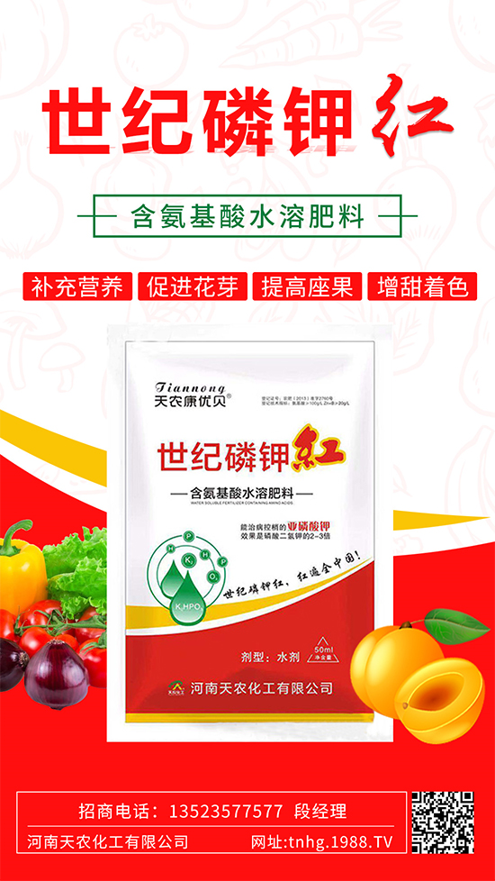 ���������ʲô���������˽����