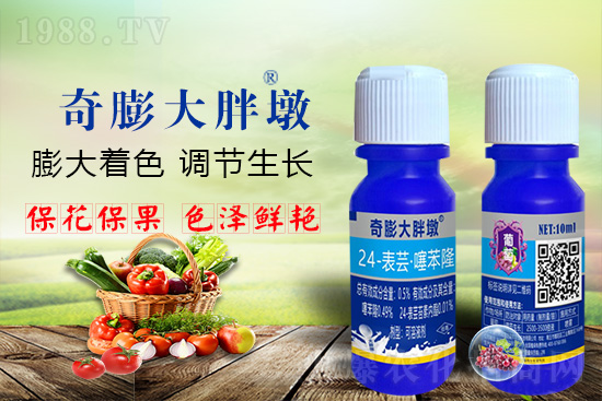     ������Ҫ�߮a(ch��n)��������P(gu��n)�I���������������D(zhu��n)ɫ�����u��������ڵĮa(ch��n)����Ʒ�|(zh��)���С������S��Ĺ��r(n��ng)���r(n��ng)������ӳ�Լҵ���������ס���������������������������������ܛ���չ�����r�l���l(f��)����