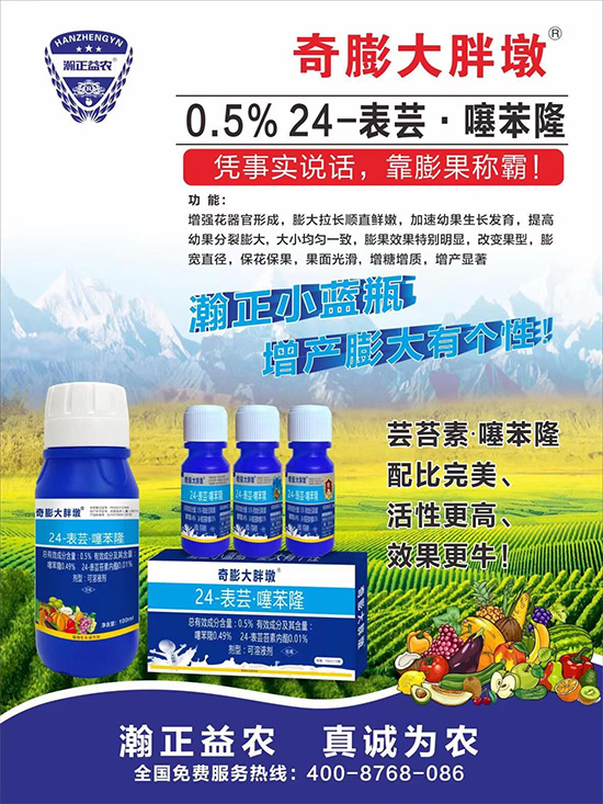     ������Ҫ�߮a(ch��n)��������P(gu��n)�I���������������D(zhu��n)ɫ�����u��ѣ����ڵĮa(ch��n)����Ʒ�|(zh��)�����������S��Ĺ��r(n��ng)���r(n��ng)������ӳ�Լҵ���������ס���������������������������������ܛ���չ�����r�l���l(f��)����