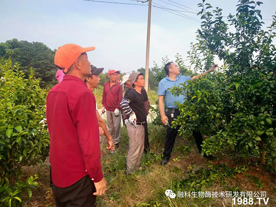 ���M���g���^���������ٮa(ch��n)�I(y��)