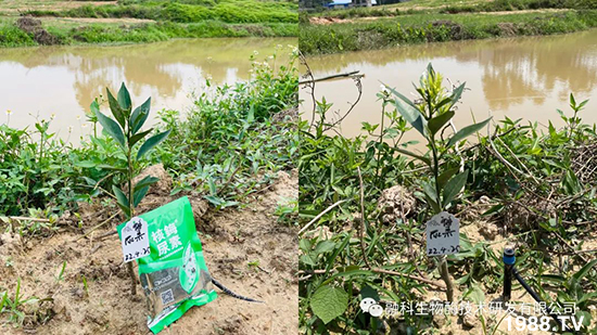 ���M���g���^���������ٮa(ch��n)�I(y��)