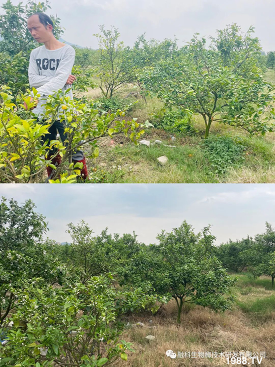 ���M���g���^���������ٮa(ch��n)�I(y��)