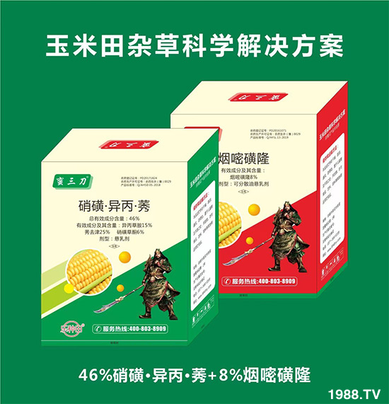     ���׻������ļ�����Ҫ�r(n��ng)�������Nֲ��e�󣬮a(ch��n)������Ч��ã����s�ݷ��΅s���r(n��ng)������ʮ���^�����Ⱥ���ˎ�����ֺ��·���Ч��������