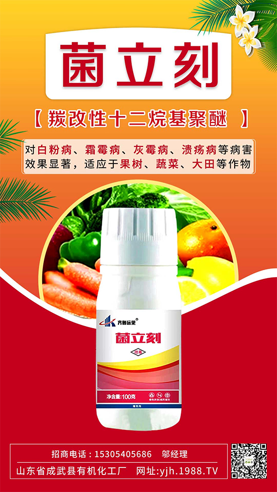 ����˪ù��߀�ǰ׷۲����e��ɵɵ�ֲ���������ηֱ漰������