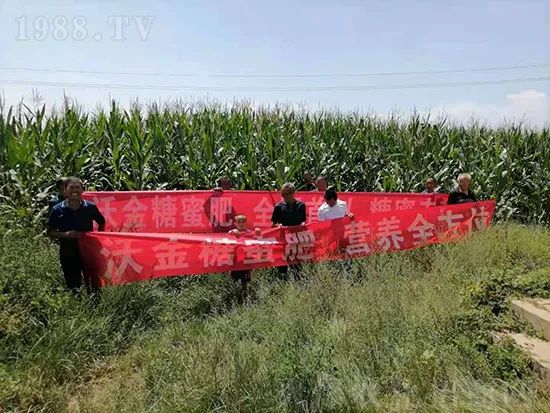     �@�����۷��r(n��ng)�YȦ������ԭ����Ȼ���ͳɱ��߷�Ч�_��(chu��ng)����