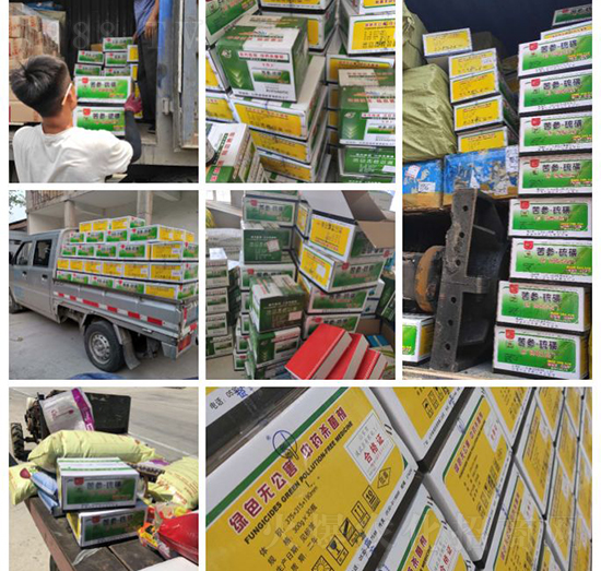 ��ֲ�ﰩ�Y-���������������������в�ˎ������������