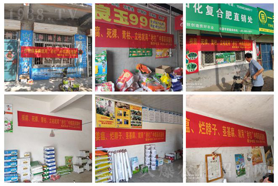 ��ֲ�ﰩ�Y-���������������������в�ˎ������������