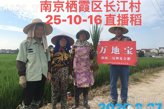 ˮ�����Y���Ì��a(ch��n)���ж��Ӱ푣����Mˮ�����Y��ô����