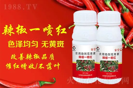 辣椒催紅增收專(zhuān)利產(chǎn)品!自然增紅零激素,色澤勻無(wú)黃斑