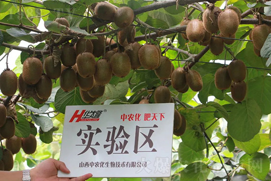 �J����������c����Щ���J����������ôʩ