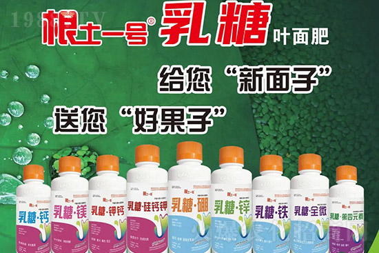 �J����������c����Щ���J����������ôʩ