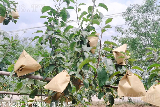     ����(sh��)�״���ɜp���r(n��ng)ˎ���������ƹ��ӵ����^Ʒ�|(zh��)���ɴ����߹�Ʒ�u���������׳��۲��u���߃r(ji��)�����Թ���(sh��)�״�Ŀǰ��Ȼ���҇�(gu��)���@����Ҫ�����������״��O��������Ǻ���Ҳ�ٲ�����