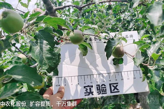     ����(sh��)�״���ɜp���r(n��ng)ˎ���������ƹ��ӵ����^Ʒ�|(zh��)���ɴ����߹�Ʒ�u�࣬�����׳��۲��u���߃r(ji��)�����Թ���(sh��)�״�Ŀǰ��Ȼ���҇�(gu��)���@����Ҫ�����������״��O��������Ǻã�Ҳ�ٲ�����