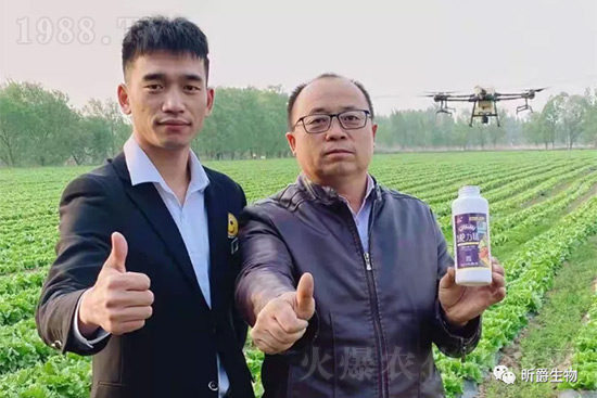 ����׷�ʏ�(f��)�Ϸʺ�߀�����غ����ܶ��˶��e(cu��)�ˣ����������_�x��