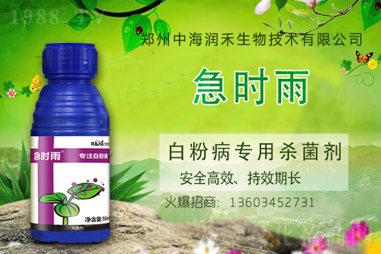 �r(n��ng)ˎ�r(ji��)��