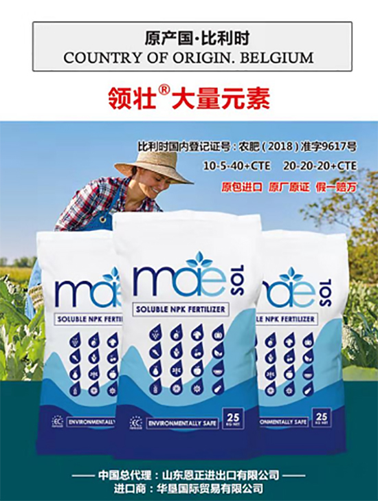 ��500�2000���߶��M�ڷʡ��ԃr�Ȱ�����