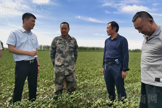 ���r���½������k��̎ؓ؟�ˣ�ͬ·ͬ�й��l(f��)չ