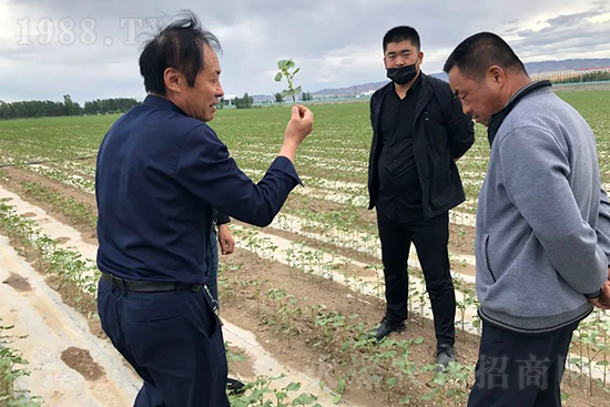 ���r���½������k��̎ؓ؟�ˣ�ͬ·ͬ�й��l(f��)չ