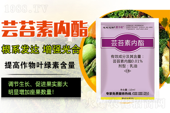 �|̦�؃�(n��i)����ɶ���Q��ֲ�����ˎ���|̦�؃�(n��i)����ô�x��