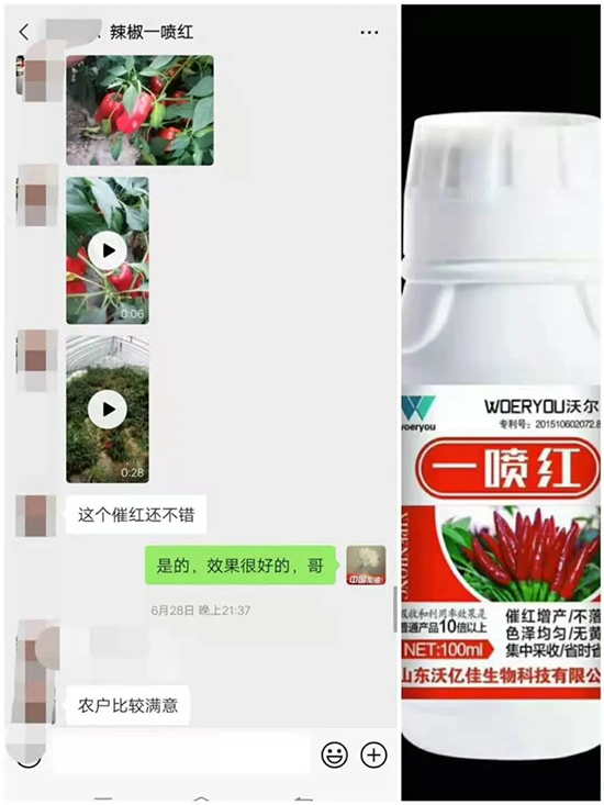 ���t�����95%���߼t�����~�����뷭�׷�����������һ���t��