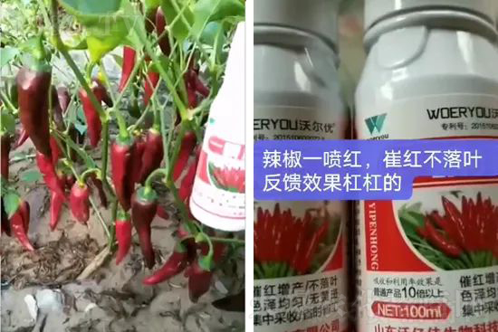 ���t�����95%���߼t�����~�����뷭�׷�����������һ���t��