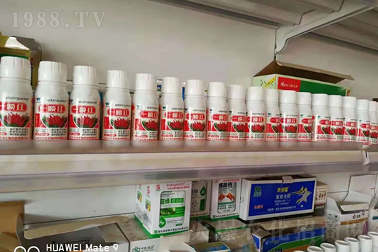 ���t�����95%���߼t�����~�����뷭�׷�����������һ���t��