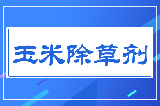 ���������݄�