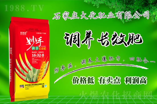 ��(zh��n)�Ժ�����������ʯ���f�󻯷ʘI(y��)�ٴκ��s1988.TV��