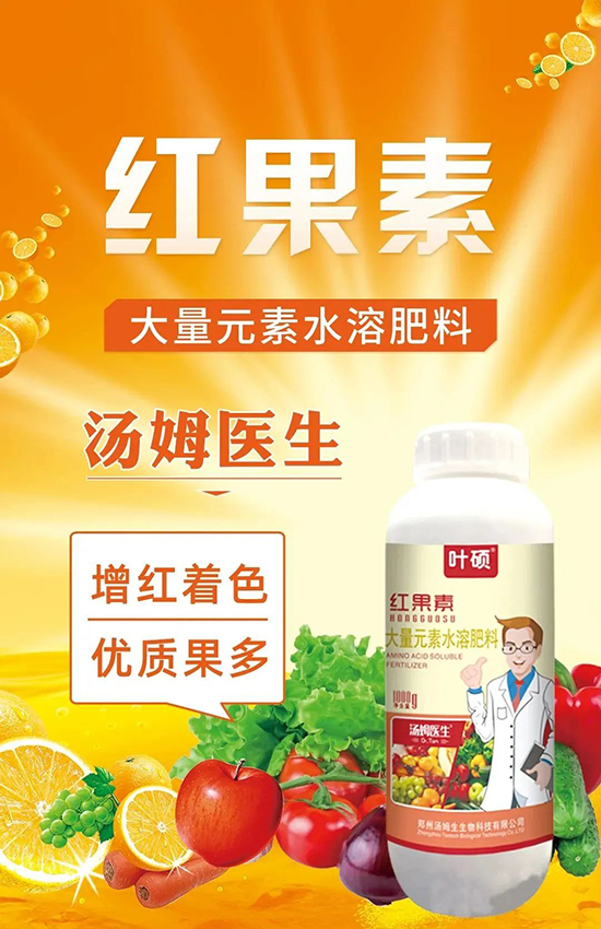 �t���ء�ֻ���D(zhu��n)ɫ�������D(zhu��n)ɫ���������߼t���ó���