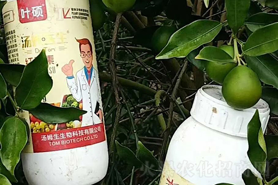 �t���ء�ֻ���D(zhu��n)ɫ�������D(zhu��n)ɫ�졢�����߼t���ó���