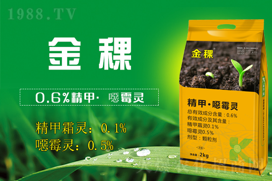 ���ս����(qi��ng)��(sh��)���v1988.TV���_(k��i)���W(w��ng)�j(lu��)������������