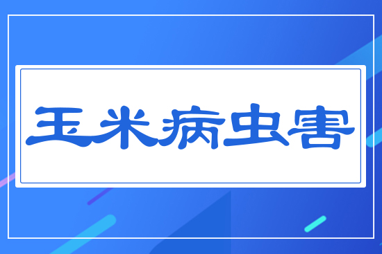 ���ײ��x��