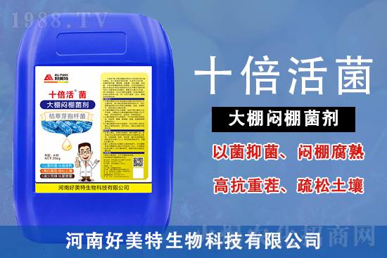 ���Ϻ���������Ƽ����޹�˾10