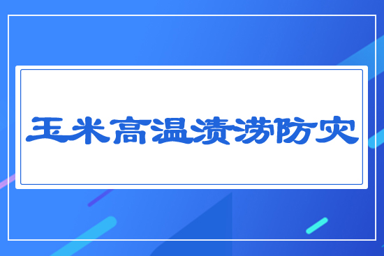 ���׸ߜ؝n������