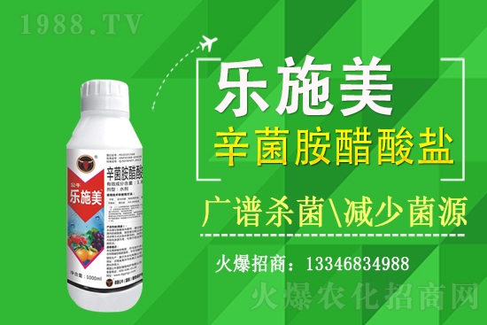 ���˚�����