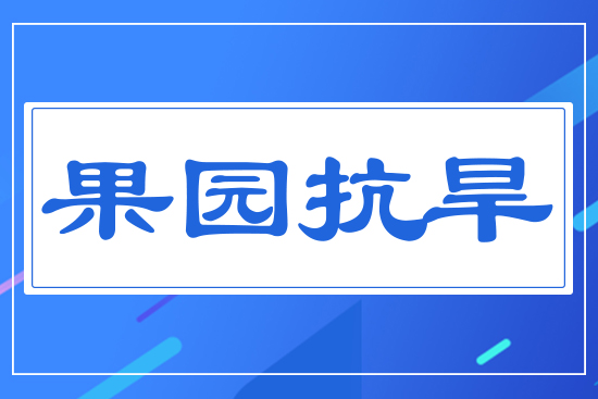 ���@����