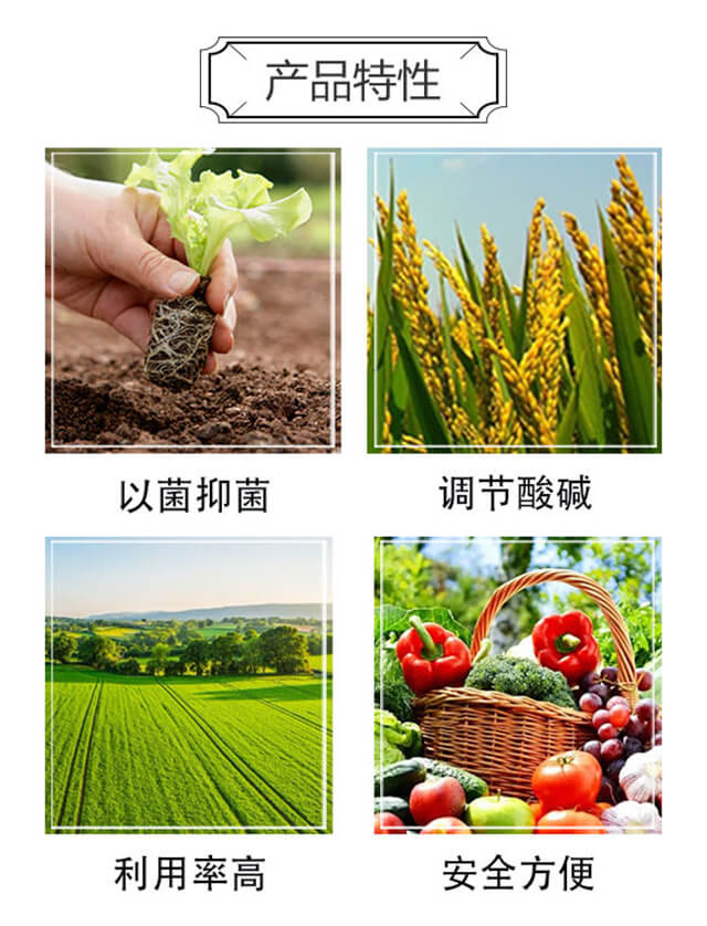 ����6̖-��ķ��_03