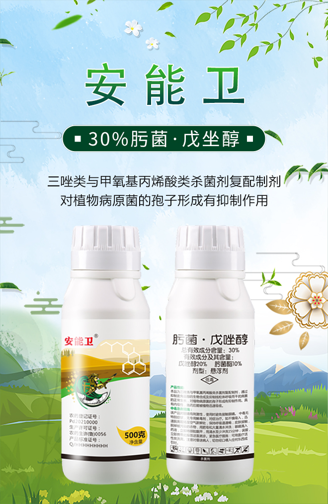 ɽ�|������(y��u)���_ֲ�ﱣ�o���޹�˾14