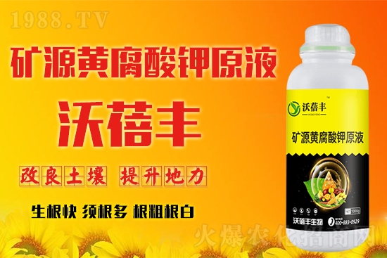 新密市沃蓓豐生物科技有限公司4