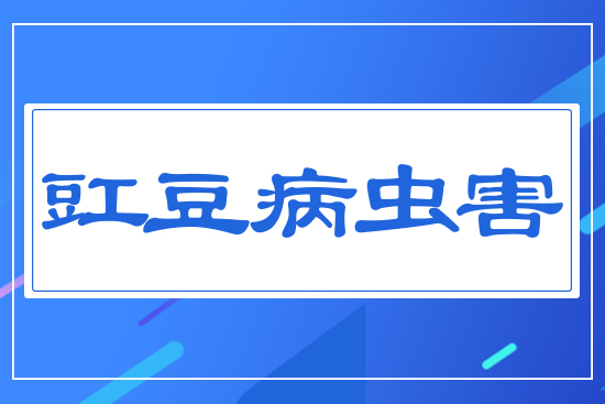 �������x��