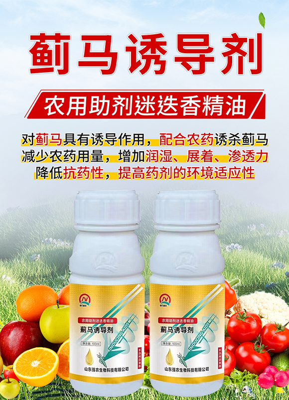 �E�R�T��(d��o)��-���r(n��ng)_01