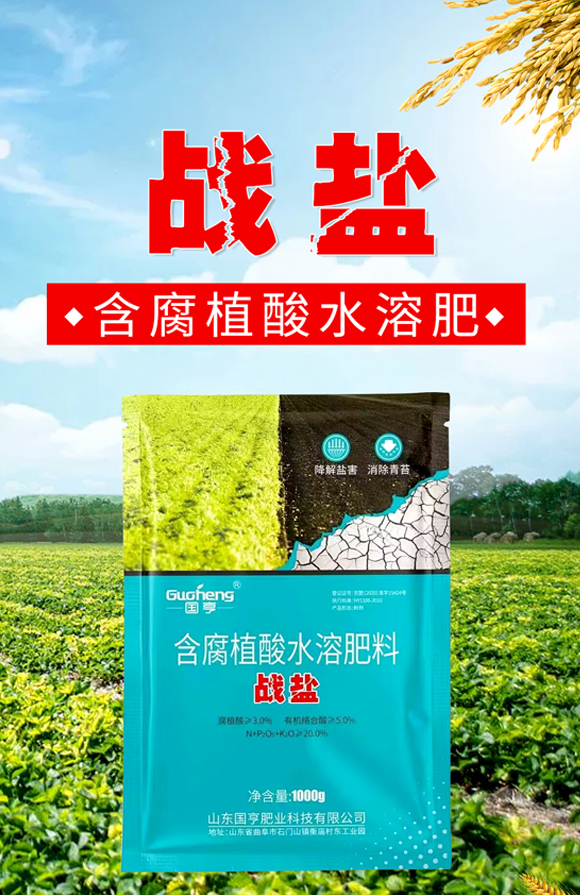 ��(zh��n)�}-��(gu��)��ʘI(y��)_01