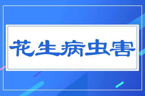 �������x��