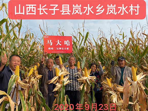 ���׌������������͏ͺϷʷ���25-10-16-�R���-�r(n��ng)������5