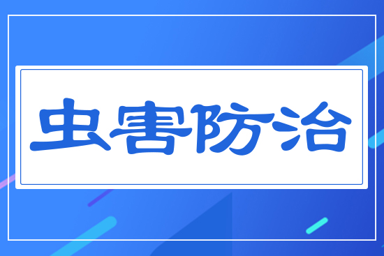 �x(ch��ng)������