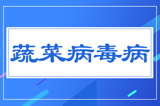 �߲˲�����