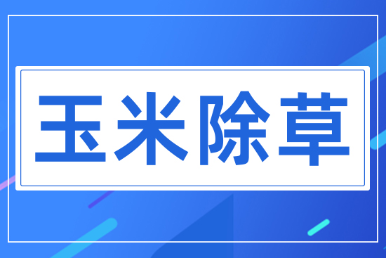 ���׳���